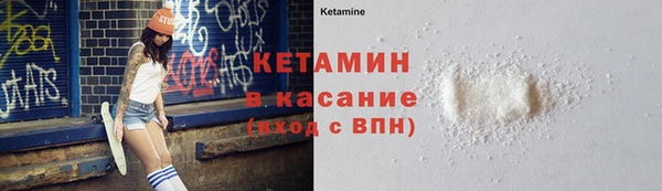 шишки Болохово
