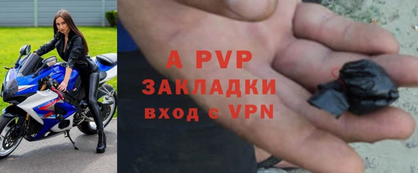 стафф Алзамай