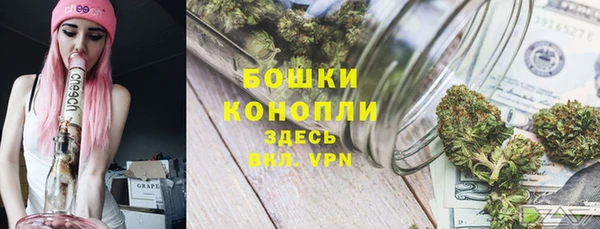 прущая мука Болотное