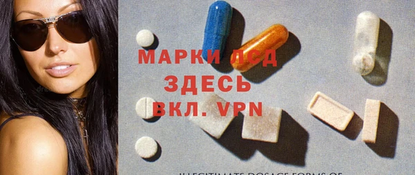 стафф Алзамай